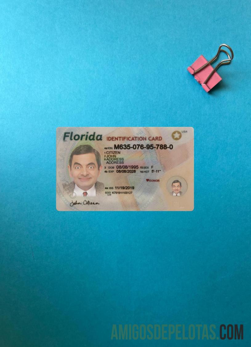 USA Florida ID Card olhar de foto frente modelo
